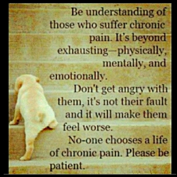 ty SHAKE, FRIES ๐ & GRIMACE (the Bears) MCDONALD'S BEANIE 2004 MINIS VNPLC - Picture 13 of 14